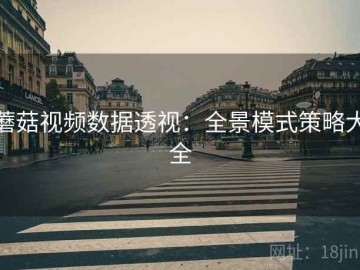 蘑菇视频数据透视：全景模式策略大全
