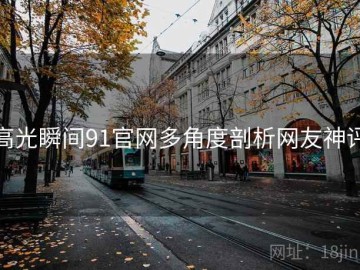 高光瞬间91官网多角度剖析网友神评
