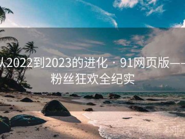 从2022到2023的进化 · 91网页版——粉丝狂欢全纪实