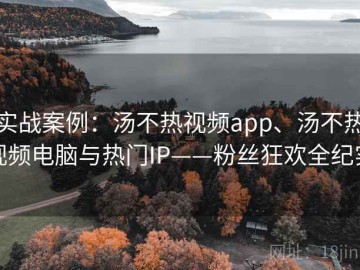 实战案例：汤不热视频app、汤不热视频电脑与热门IP——粉丝狂欢全纪实