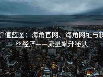 价值蓝图：海角官网、海角网址与粉丝经济——流量飙升秘诀
