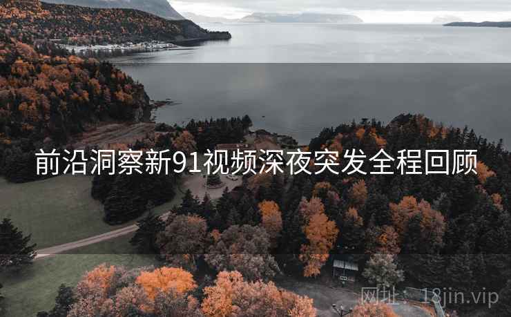 前沿洞察新91视频深夜突发全程回顾