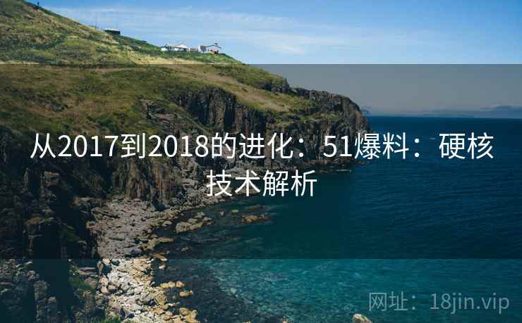从2017到2018的进化：51爆料：硬核技术解析
