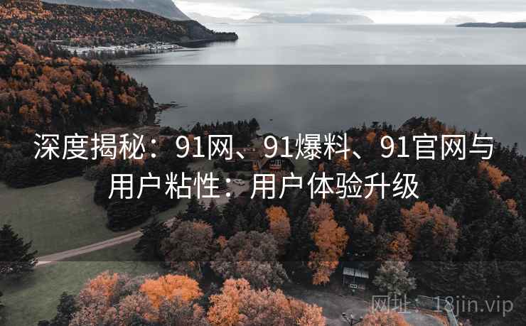 深度揭秘：91网、91爆料、91官网与用户粘性：用户体验升级
