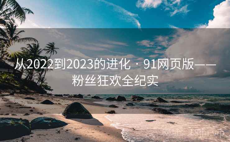 从2022到2023的进化 · 91网页版——粉丝狂欢全纪实