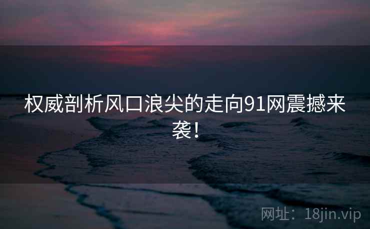 权威剖析风口浪尖的走向91网震撼来袭！