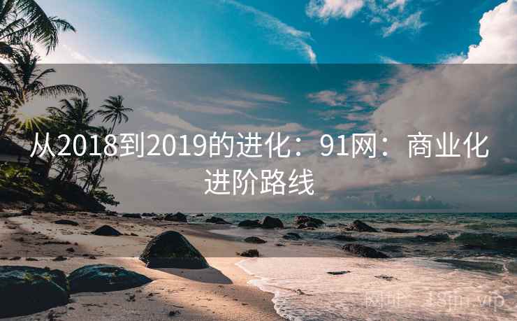 从2018到2019的进化：91网：商业化进阶路线