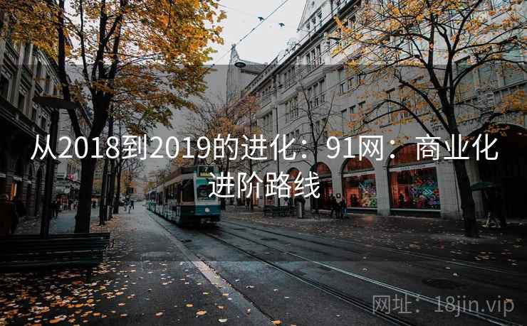 从2018到2019的进化：91网：商业化进阶路线