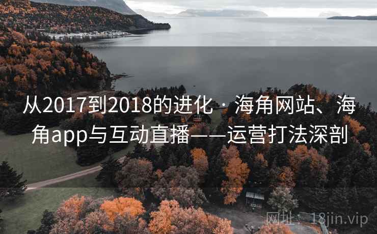 从2017到2018的进化 · 海角网站、海角app与互动直播——运营打法深剖