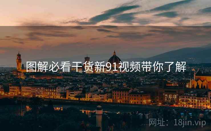 图解必看干货新91视频带你了解