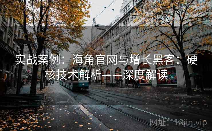实战案例：海角官网与增长黑客：硬核技术解析——深度解读