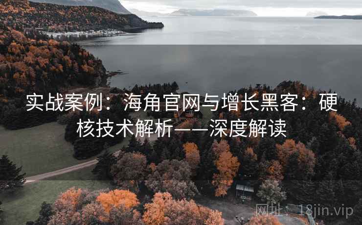 实战案例：海角官网与增长黑客：硬核技术解析——深度解读
