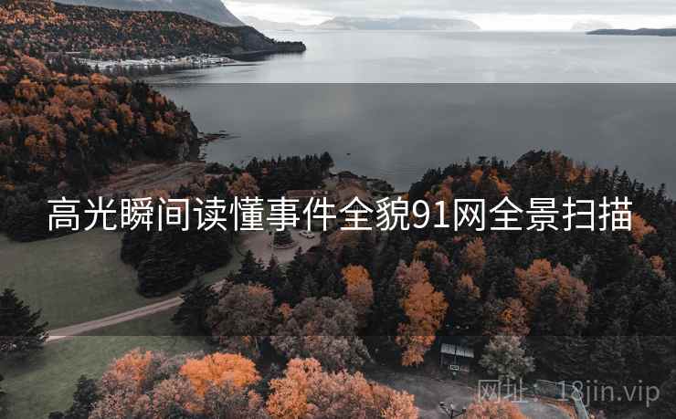 高光瞬间读懂事件全貌91网全景扫描