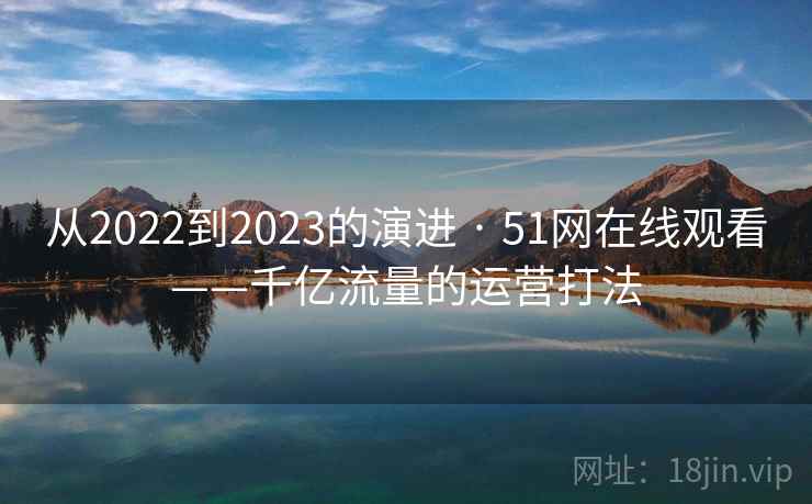 从2022到2023的演进 · 51网在线观看——千亿流量的运营打法
