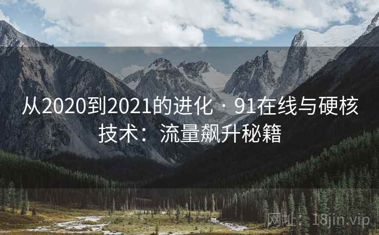 从2020到2021的进化 · 91在线与硬核技术：流量飙升秘籍