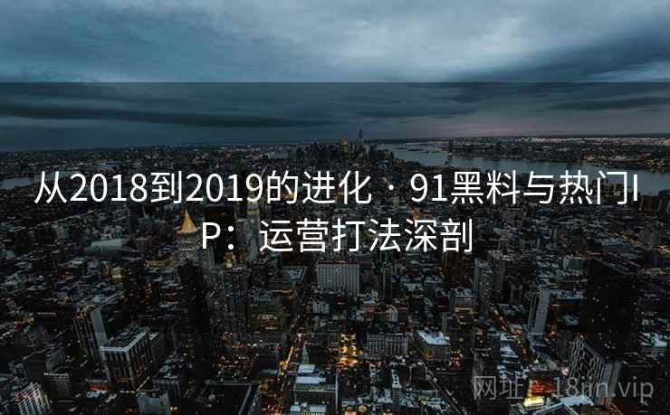 从2018到2019的进化 · 91黑料与热门IP：运营打法深剖