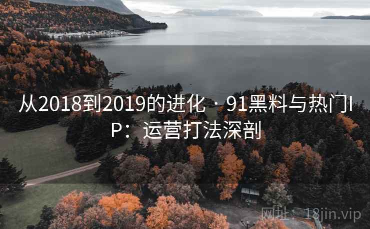 从2018到2019的进化 · 91黑料与热门IP：运营打法深剖