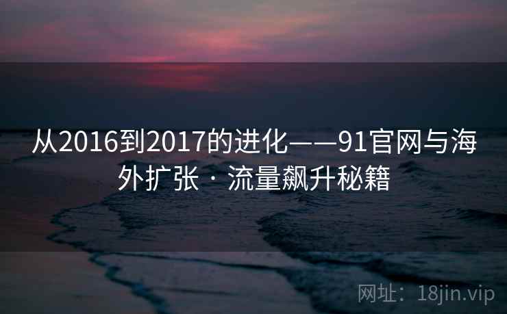 从2016到2017的进化——91官网与海外扩张 · 流量飙升秘籍