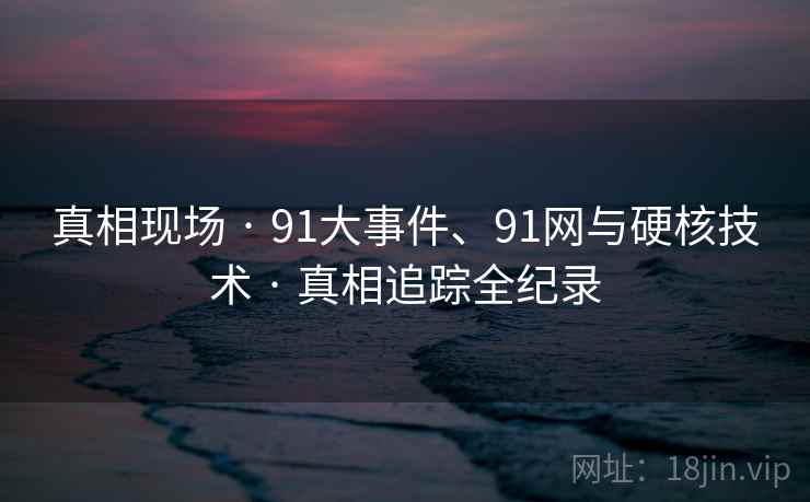 真相现场 · 91大事件、91网与硬核技术 · 真相追踪全纪录
