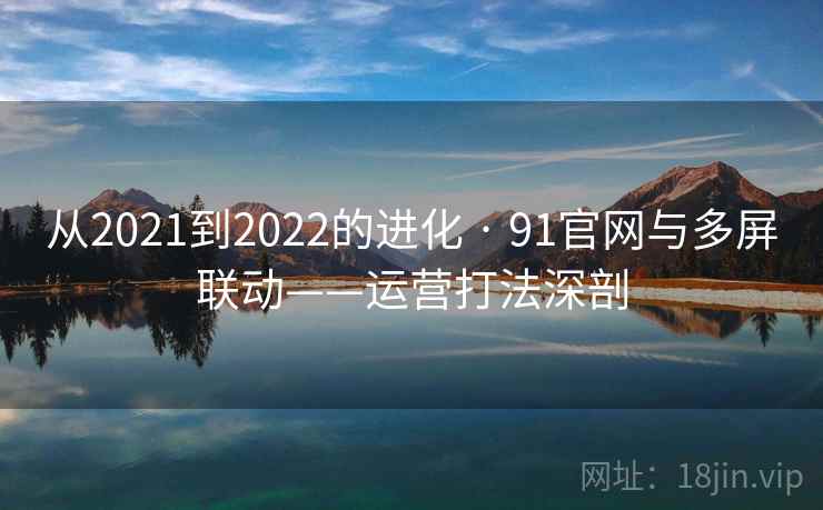 从2021到2022的进化 · 91官网与多屏联动——运营打法深剖