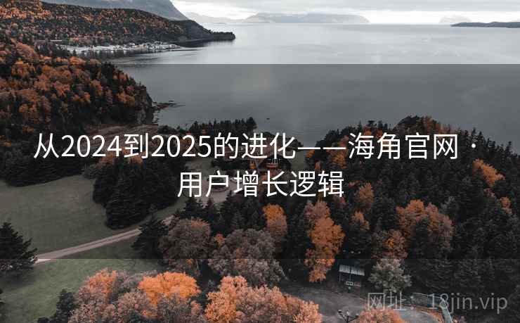 从2024到2025的进化——海角官网 · 用户增长逻辑
