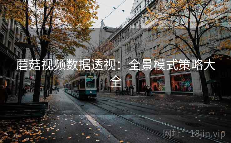 蘑菇视频数据透视：全景模式策略大全