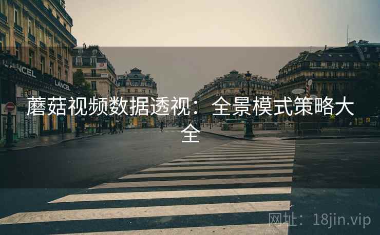 蘑菇视频数据透视：全景模式策略大全