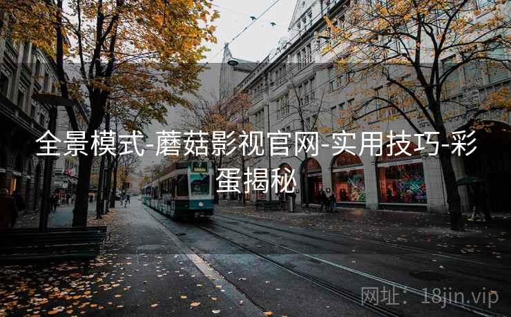 全景模式-蘑菇影视官网-实用技巧-彩蛋揭秘