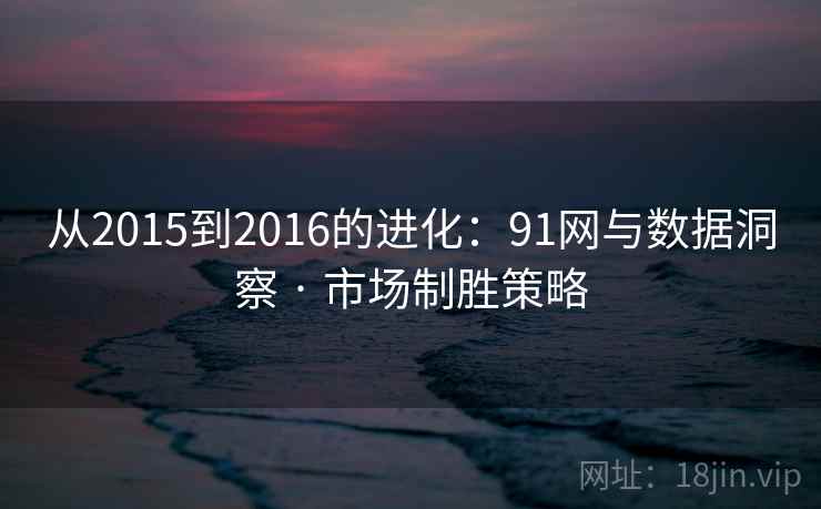 从2015到2016的进化：91网与数据洞察 · 市场制胜策略