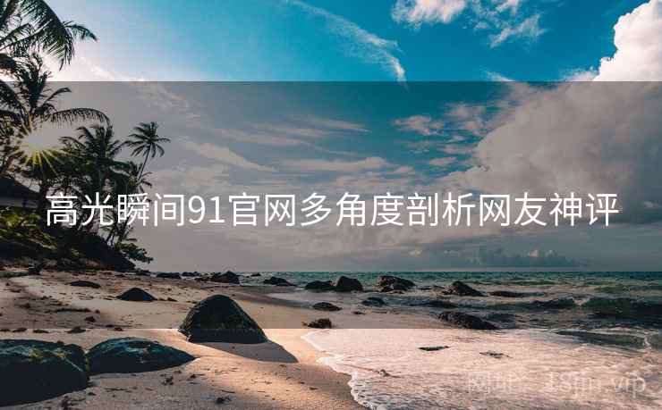 高光瞬间91官网多角度剖析网友神评